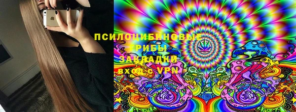 эйфоретик Алексин