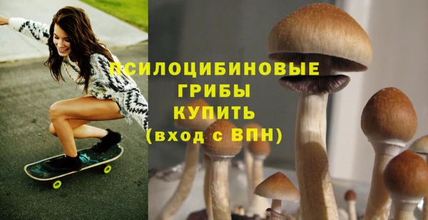 эйфоретик Алексин