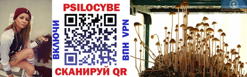 Галлюциногенные грибы мицелий наркота Десногорск
